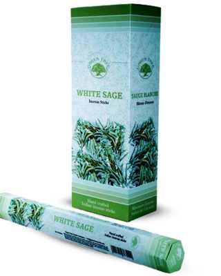 White Sage - Λευκό Φασκόμηλο