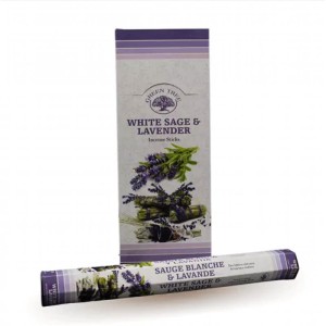 White Sage & Lavender - Λευκό Φασκόμηλο & Λεβάντα 