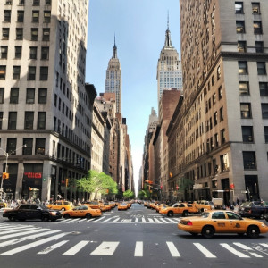FW296 - 5th Avenue 